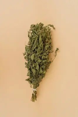 Веник Мелисса