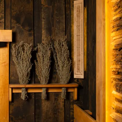 Травы для бани Woodson, полынь горькая