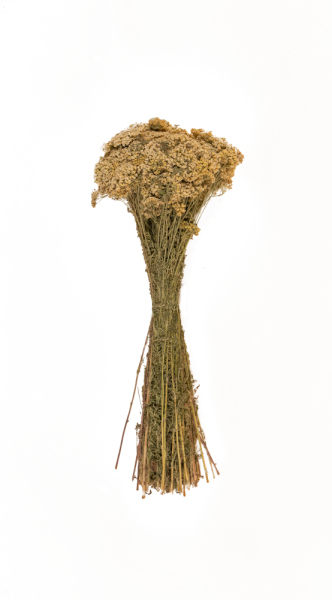 Травы для бани Woodson, тысячелистник