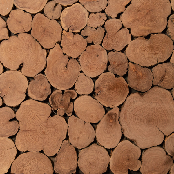 Панно с можжевельником Woodson 120*50